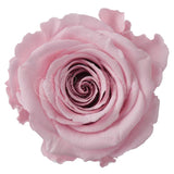 Infinity Roses Lux Heart Box - Rose Head Ø 7cm
