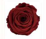 Infinity Roses Luxury Heart Box - Rose Head Ø 7cm
