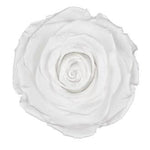 Infinity Roses Luxury Round Box - Rose Head Ø 7cm - Flowers Box London