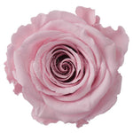 Infinity Roses Luxury Round Box - Rose Head Ø 7cm