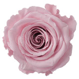 Infinity Roses Luxury Round Box - Rose Head Ø 7cm