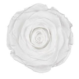 Infinity Roses Luxury Round Box - Rose Head Ø 7cm