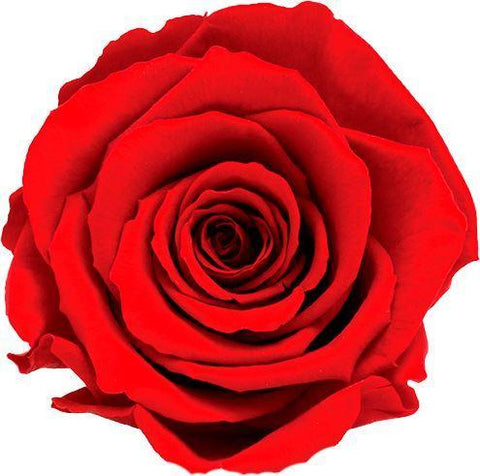 Infinity Roses Round Box - Rose Head Ø 2cm