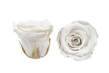 Infinity Roses Round Box - Rose Head Ø 2cm - Flowers Box London