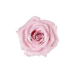 Infinity Roses Round Box - Rose Head Ø 2cm - Flowers Box London