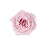 Infinity Roses Round Box - Rose Head Ø 2cm - Flowers Box London