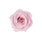 Infinity Roses Round Closed Box - Rose Head Ø 2cm