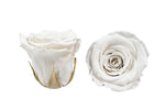 Infinity Roses Round Closed Box - Rose Head Ø 2cm