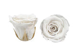 Infinity Roses Round Closed Box - Rose Head Ø 2cm