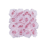 Infinity Roses Square Box - Rose Head Ø 2cm