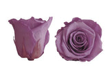 Infinity Roses Square Box - Rose Head Ø 5cm