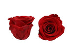 Inifinity Roses Hat Box - Rose Head Ø 3,5 cm