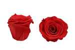 Inifinity Roses Hat Box - Rose Head Ø 3,5 cm