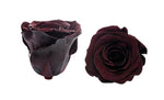 Inifinity Roses Hat Box - Rose Head Ø 3,5 cm