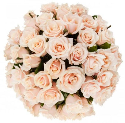Ivory Pearls Avalanche Roses Bouquet