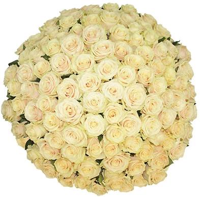 Ivory Roses Bouquet