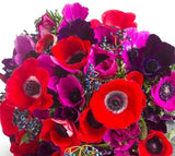 Just Anemone Bouquet - Flowers Box London
