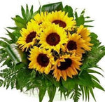 Just Sunflowers