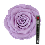 Lavender Preserved Rose Stems - Flowers Box London