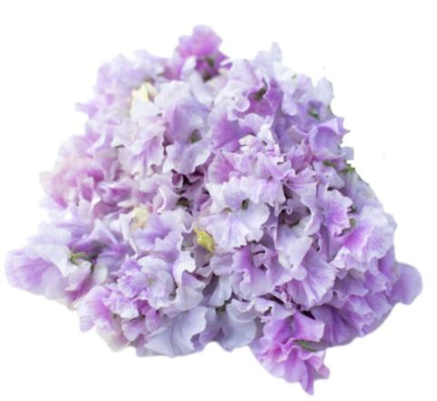Lavender Sweet Pea Bouquet