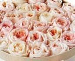 Light Peach Austin Roses Hat Box