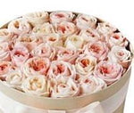 Light Peach Austin Roses Hat Box