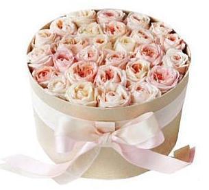 Light Peach Garden Roses Box - Flowers Box London