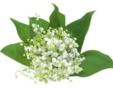 Lily of Valley Bouquet