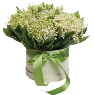 Lily of Valley in Box - Flowers Box London