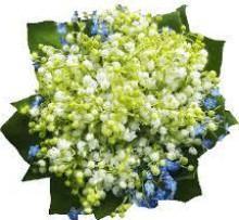Little Fragrant Precious