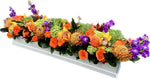 Luxury Autumn Exotic Box - Flowers Box London
