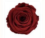 Luxury Box Preserve Roses - Rose Head Ø 7cm