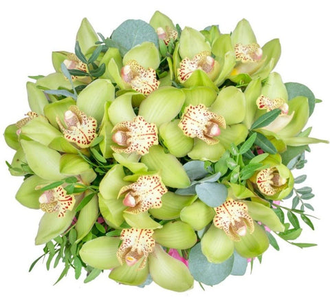 Luxury Cymbidium Orchids Bouquet - Flowers Box London