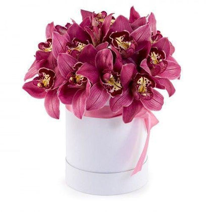 Luxury Cymbidium Orchids Box - Flowers Box London