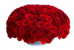 Luxury Roses in Silver Pot - Flowers Box London