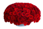 Luxury Roses in Silver Pot