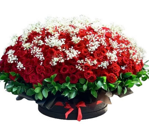 Luxury Roses with Gypsophila Box