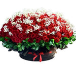 Luxury Roses with Gypsophila Box - Flowers Box London