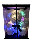 Luxury White Teddy Bear with a Light Function