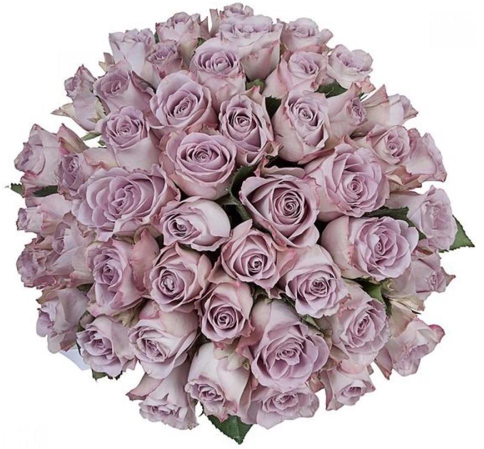 Memory Line Lavender Roses Bouquet – Flowers Box London