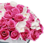 Meridian Roses Box - Flowers Box London