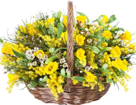 Mimosa and Daffodils Basket - Flowers Box London