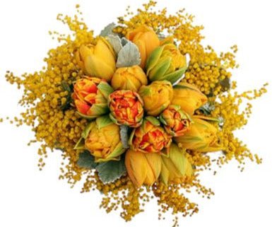 Mimosa and Double Tulips Bouquet - Flowers Box London