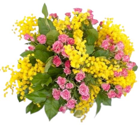 Mimosa with Spray Roses