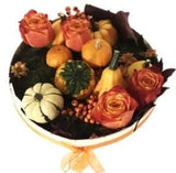 Mini Pumpkin Arrangement in Box - Flowers Box London