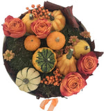 Mini Pumpkin Arrangement in Box - Flowers Box London