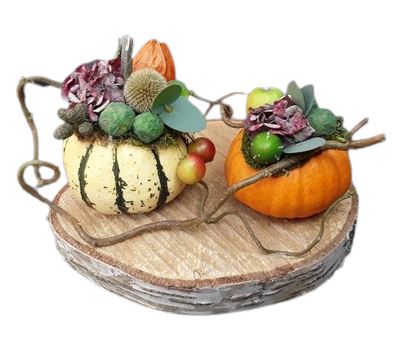 Mini Pumpkin Arrangement on Wooden Slice