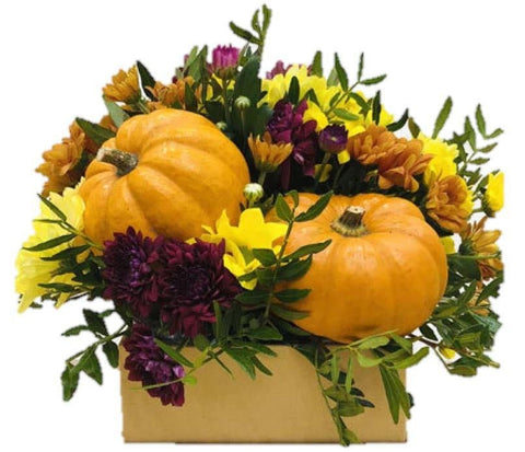 Mini Pumpkin Signature Box - Flowers Box London