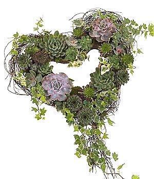 Modern Green Shadow Open Heart - Flowers Box London