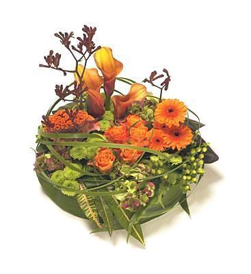 Modern Orange Posy - Flowers Box London